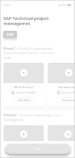 wireframe - SAP technical project management