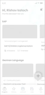 wireframe sap