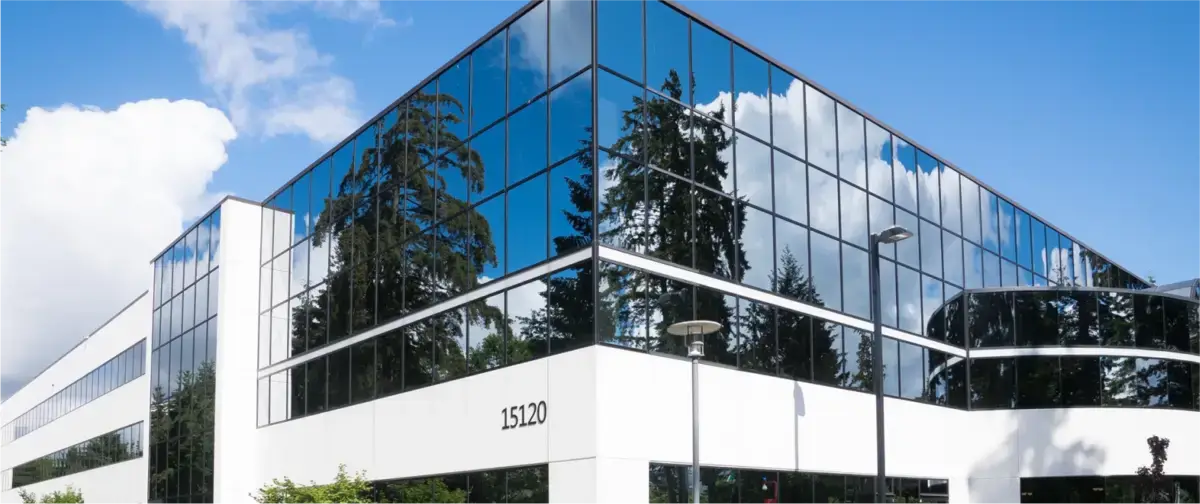 react js developer, working developer, coders